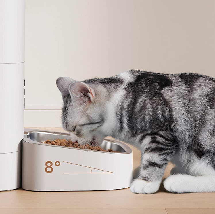 PETLIBRO Automatic Cat Feeder