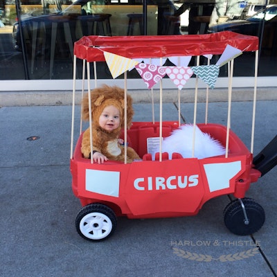 DIY Halloween -- Baby Circus Lion