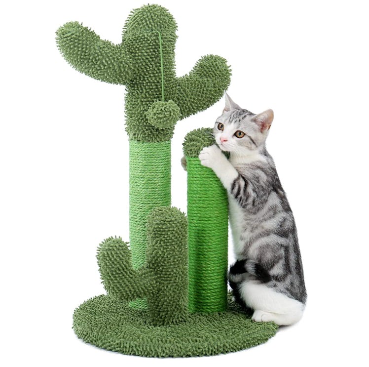 PAWZ Road Cat Scratching Post Cactus