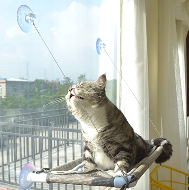 PEFUNY Cat Window Perch