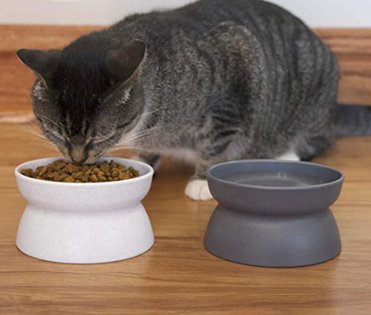 Kitty City Raised Cat Food Bowl