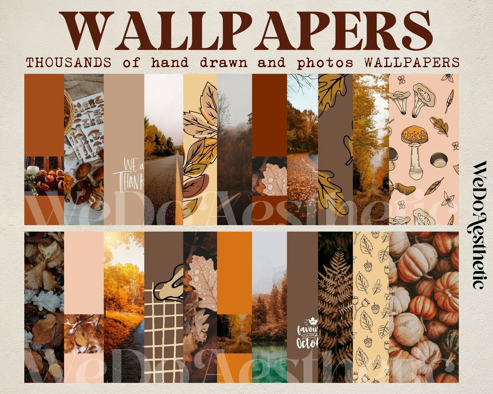50 Free Fall Wallpaper  Autumn Wallpaper Options For Your iPhone