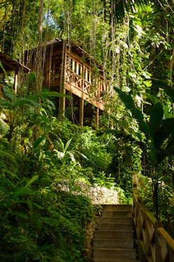 9 Rainforest Resorts That Put You Right in the Jungle