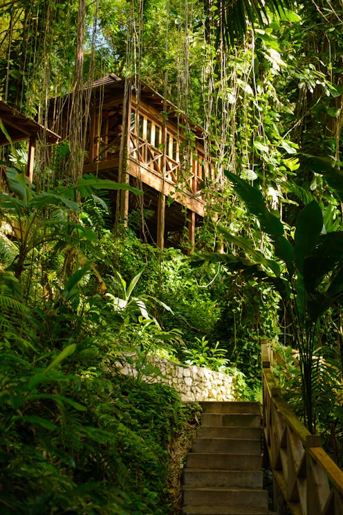 eco lodge in jamaica