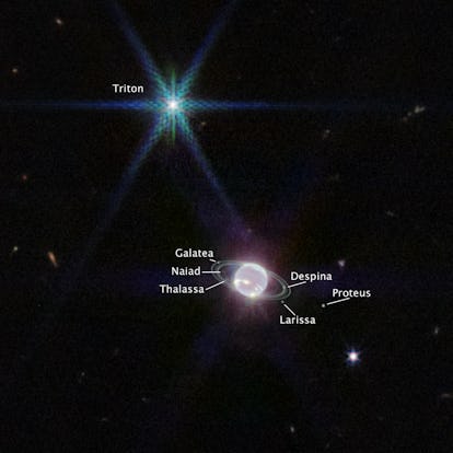 JWSTs Fotos von Neptuns kristallinen Ringen sind ein unvergesslicher Anblick 1 Webb hat sieben von Neptuns 14 bekannten Monden eingefangen: Galatea, Naiad, Thalassa, Despina, Proteus, Larissa ...