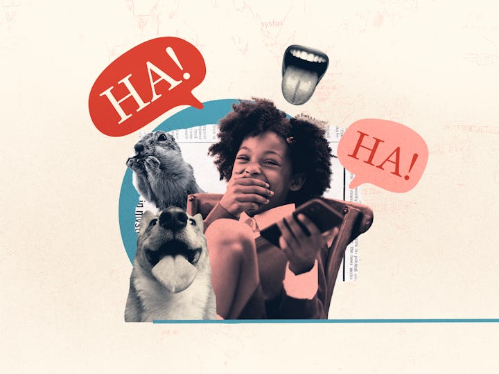 Kid, cat and dog cracking up at tongue twisters.