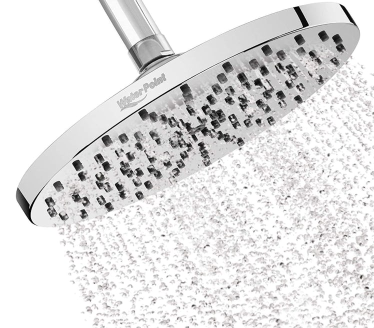 WaterPoint Rainfall Shower Head