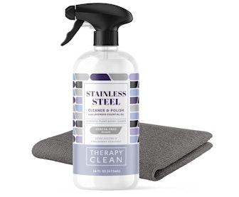 Therapy Stainless Steel Cleaner Kit 