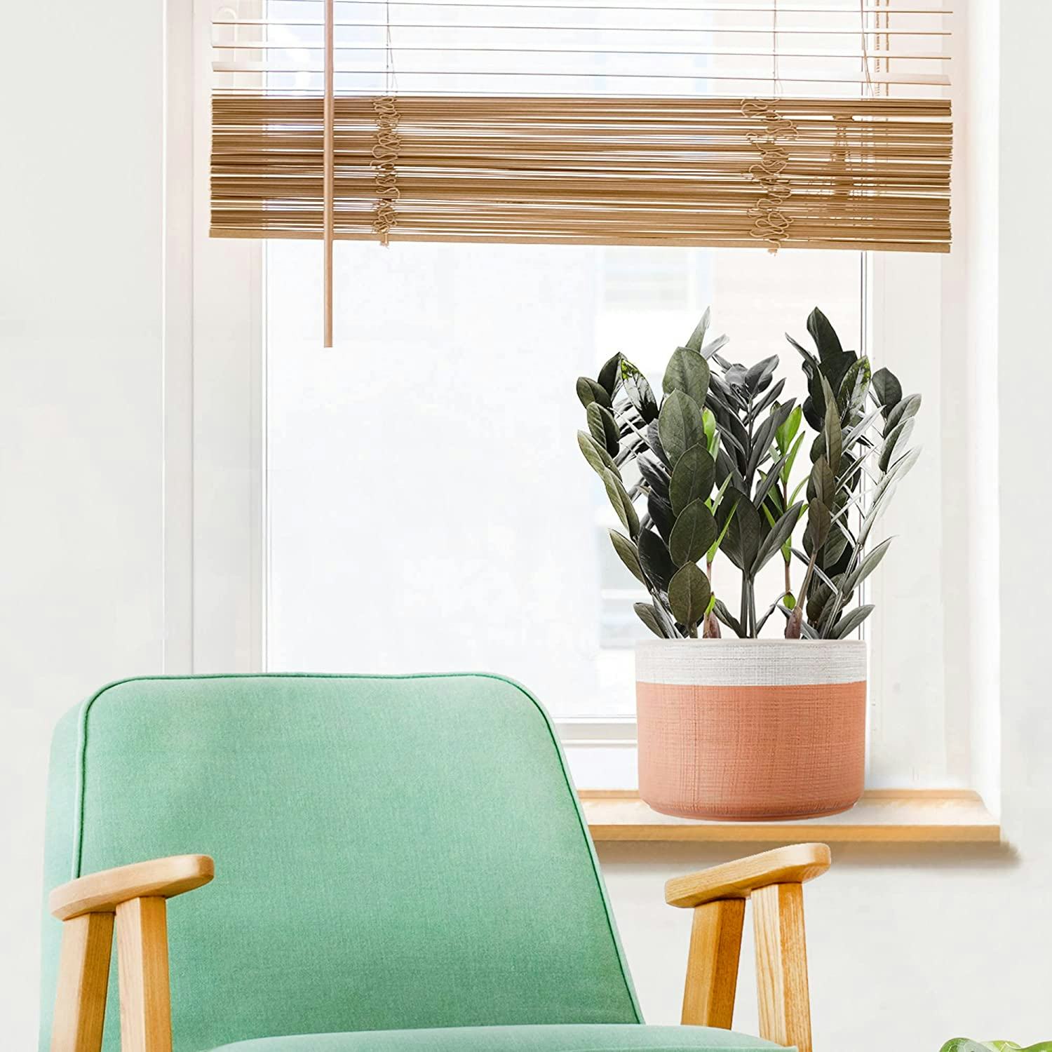 Costa Farms 10-Inch Planter