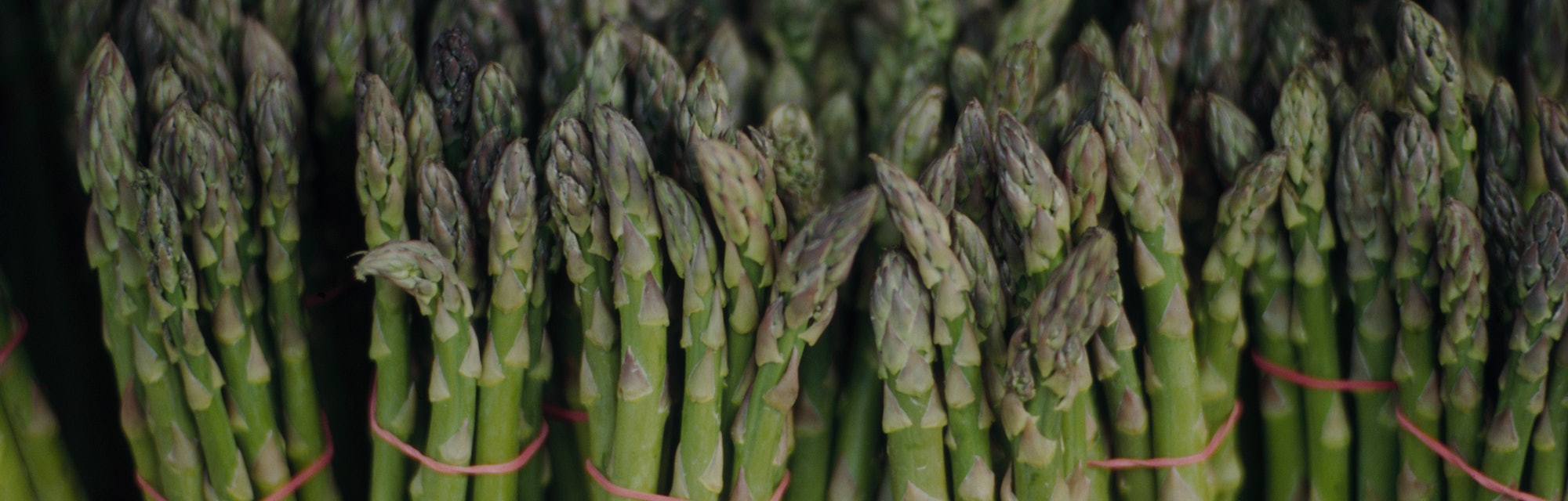 Shortly after chowing down on a healthy, asparagus-rich dinner, you might notice a striking and unpl...