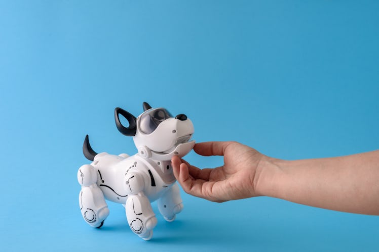 Human scratches under the chin of a robot dog