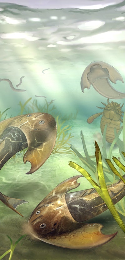 Life reconstructions of the fossil Tujiaaspis vividus