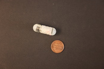 An image of the RoboCap device.