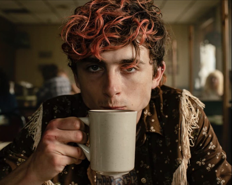 Bones All Everything We Know About Timothee Chalamet S Cannibal Film