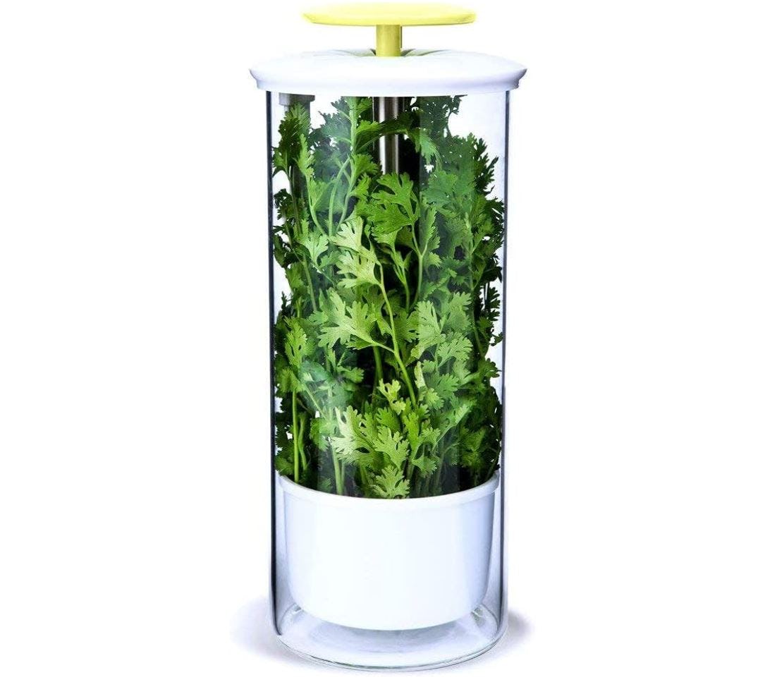 NOVART XXL Herb Keeper and Herb Saver