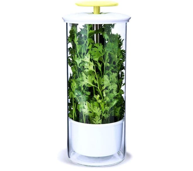 NOVART XXL Herb Keeper and Herb Saver