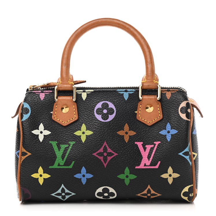 Louis Vuitton multicolor Speedy bag