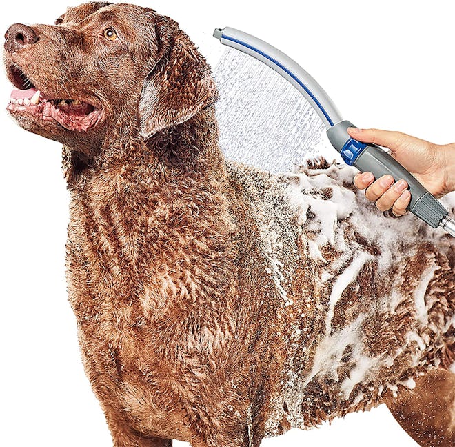 Waterpik Pet Wand Pro Shower Attachment