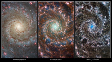 This image is divided evenly into 3 different views of the same region in the Phantom Galaxy.