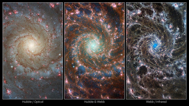 This image is divided evenly into 3 different views of the same region in the Phantom Galaxy.