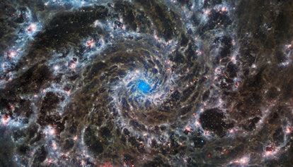 Delicate gray, webby filaments form a spiral pattern winding outwards from the center of the galaxy....