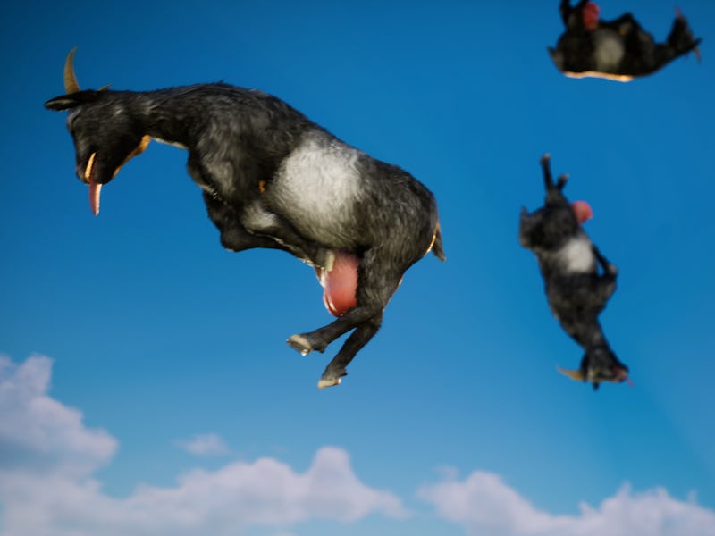flying goats
