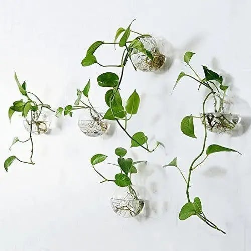 Orimina Wall Planters (6-Pack)