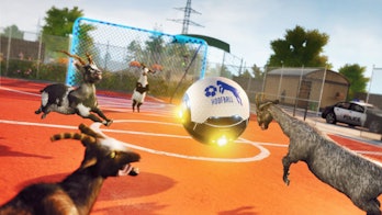 goats tackling soccer ball into goal