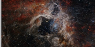 Image of the Tarantula Nebula from Webb's NIRCam instrument