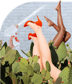 an illustration of two pairs of womens legs sticking out of cactus bushes while a hand fires a laser...