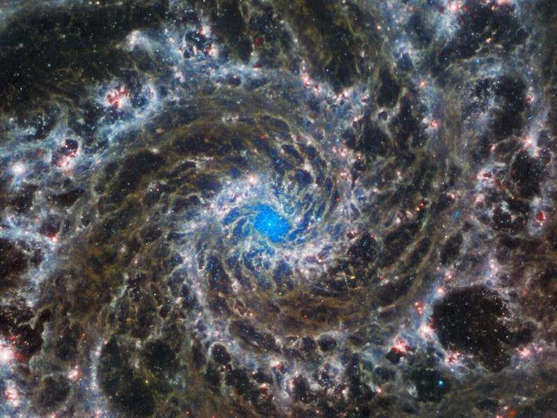 The spiral galaxy M74 imaged by the NASA/ESA JWST.
