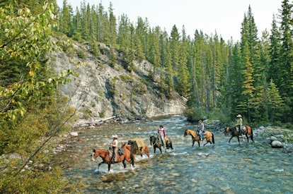 horseback riding in canada