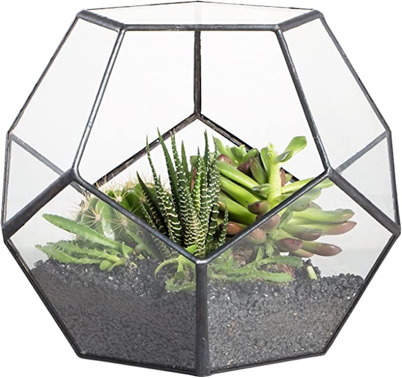 This pentagon terrarium works for Halloween or as a year-round way to decorate.
