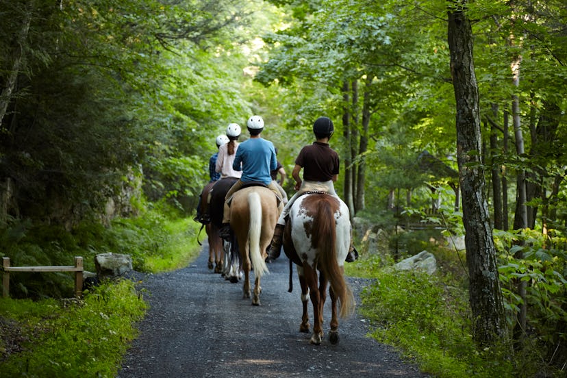 horseback riding in the hudson valley, new york