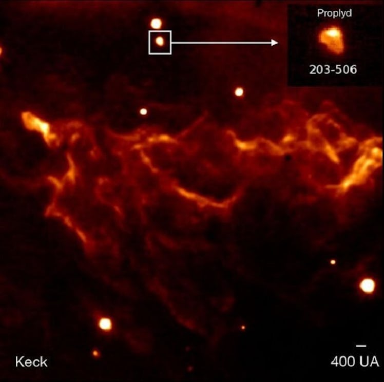in glowing reds and oranges, the filaments of a nebula against the blackness of space