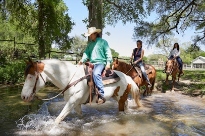 horseback riding in austin