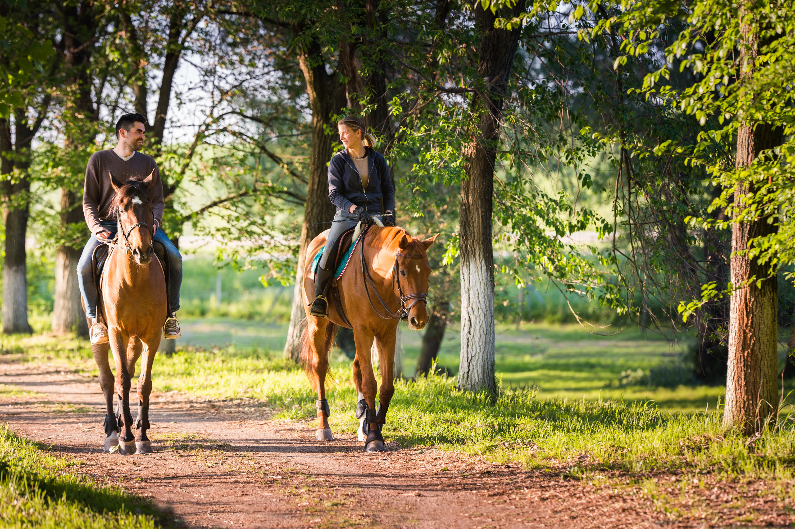Horseback Riding Vacations For A Unique Fall Getaway