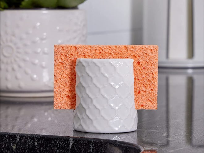 Home Acre Designs Sponge Holder