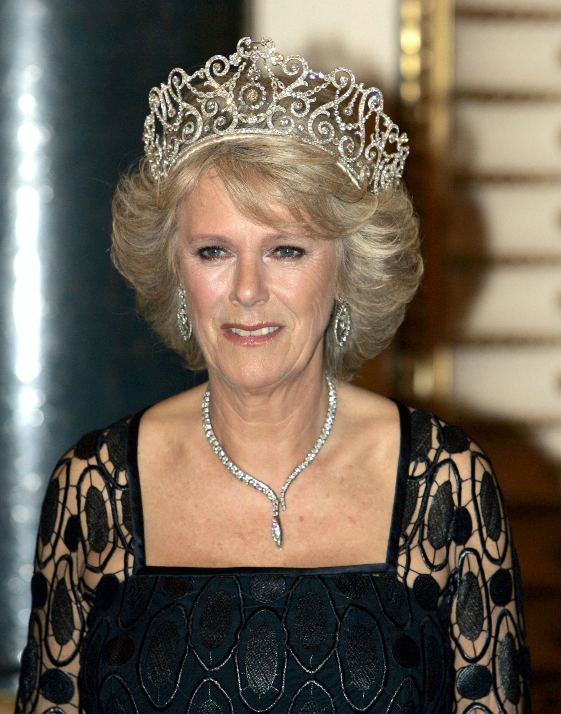 Camilla Queen Consort Of The United Kingdom - RishirilloBall