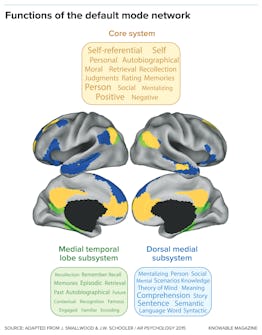 mind wandering statistics graphic showing the contrast between the medial temporal lobe and dorsal medial subsystems