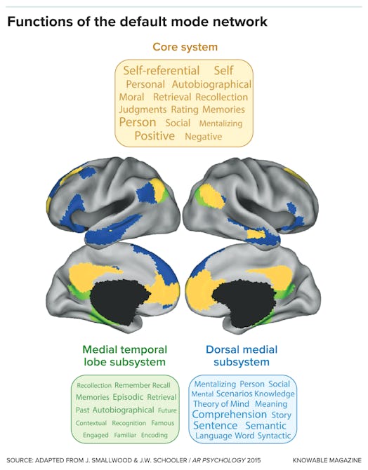 graphic showing the contrast between the medial temporal lobe and dorsal medial subsystems