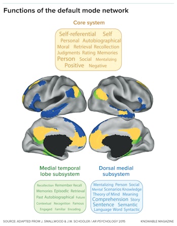 graphic showing the contrast between the medial temporal lobe and dorsal medial subsystems