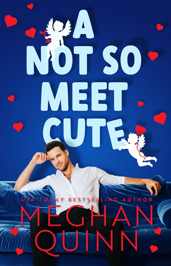'A Not So Meet Cute' by Meghan Quinn