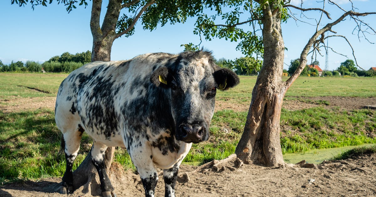 5 good news stories about climate change