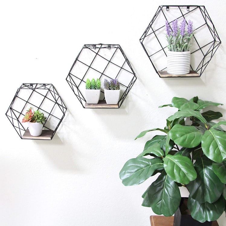 Admired By Nature Hanging Storage Shelves
