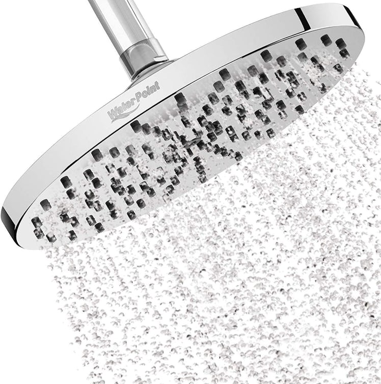 WaterPoint Rainfall Shower Head 