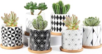 ZOUTOG Planter Pots (6-Pack) 