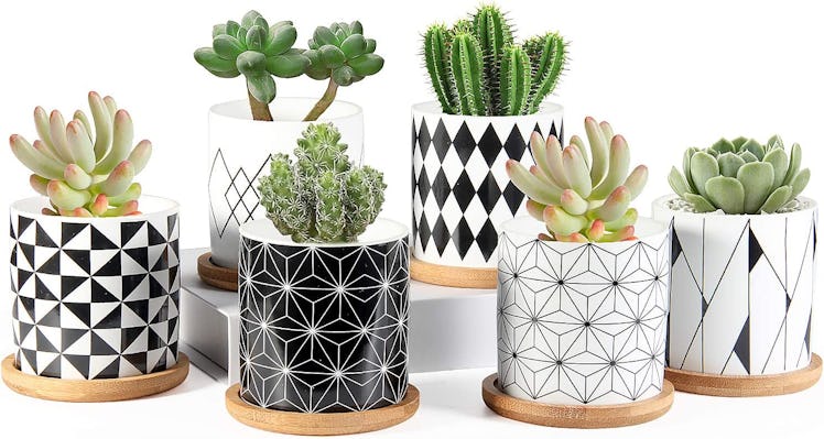 ZOUTOG Planter Pots (6-Pack) 