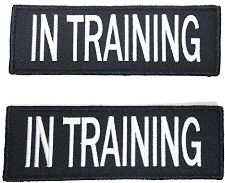 Leashboss In Training Dog Patch