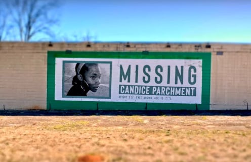 A Candice Parchment missing poster from Hulu's 'How I Caught My Killer'